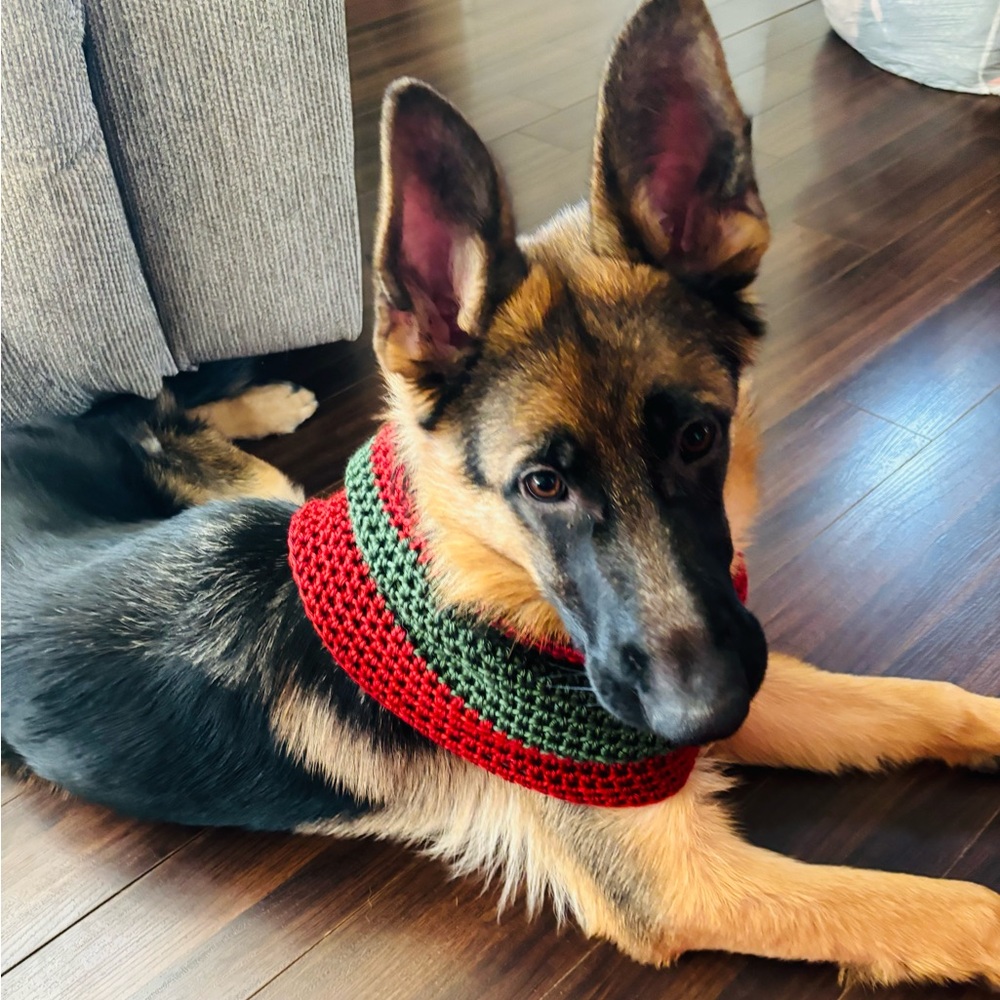 Christmas Dog Cowl Silky Soft Cowl   Hand Crochet   Size XL 25-26”Cir.x8”long